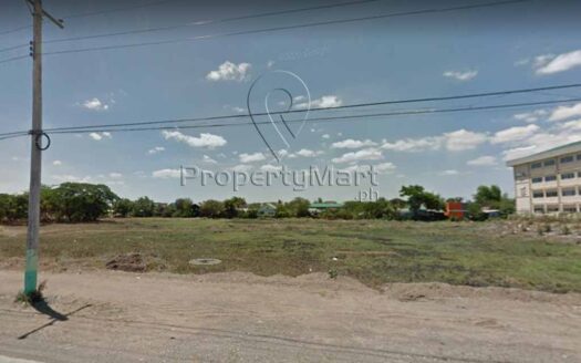 Lot for Sale in Cabanatuan City